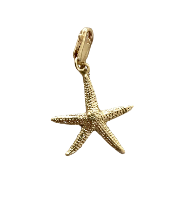 Pendentif starfish