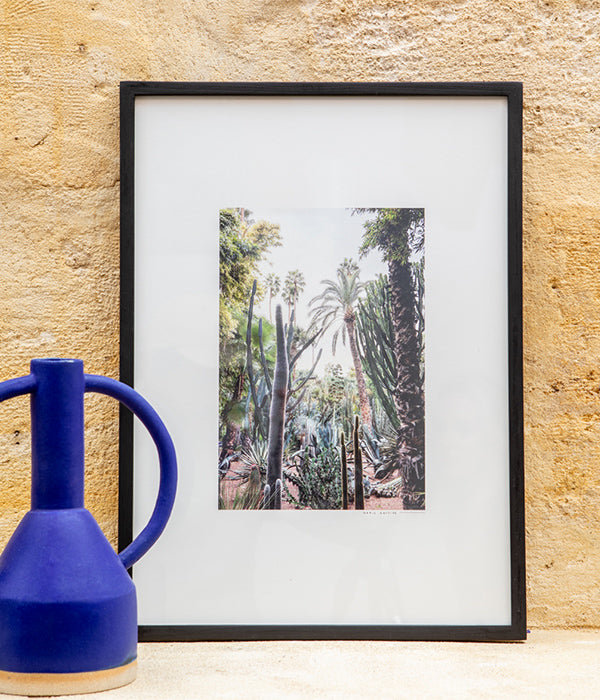 Photographie La Jungle