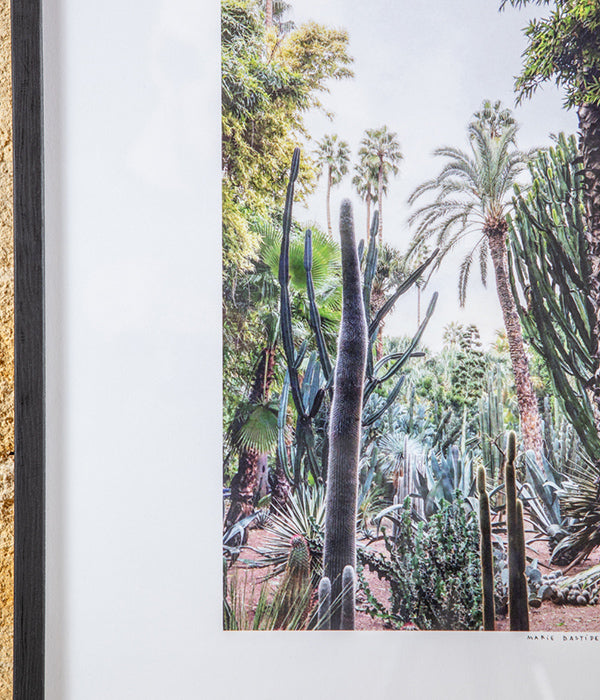 Photographie La Jungle